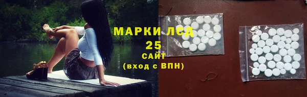 СК Инта