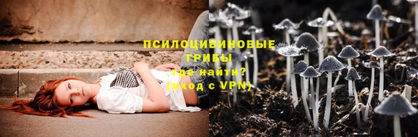 СК Инта