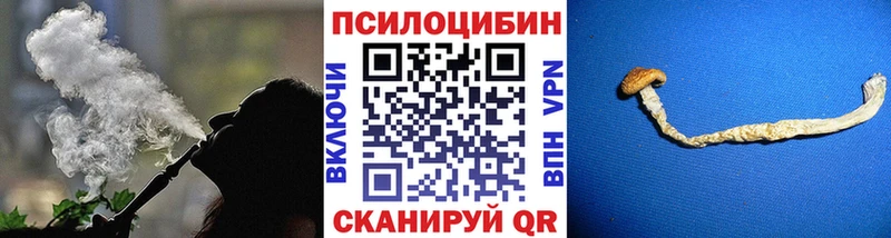 Купить  Омутнинск  Псилоцибиновые грибы Psilocybine cubensis 
